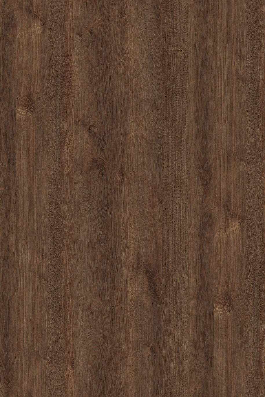 BRONZE EXPRESSIVE OAK